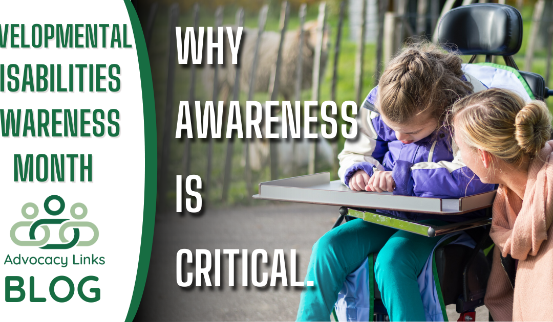 Why Developmental Disability Awareness is Important